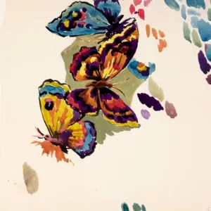 Design for Textile / Sketches with butterflies