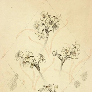 Design for textile or wallpaper with flowers