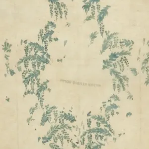 Green leaves print on tracing paper Green leaves print on tracing paper