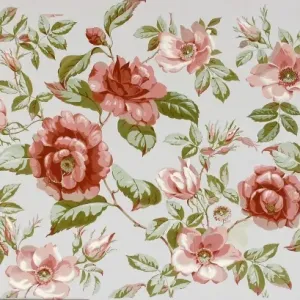 Design for Wallpaper with pink roses Design for Wallpaper with pink roses