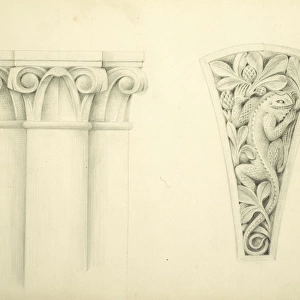 Designs for the Natural History Museum, by Alfred Waterhouse