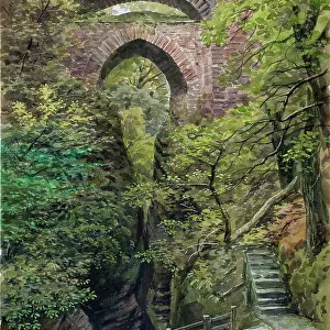 Devil's Bridge Falls, Rheidol Valley, nr Aberystwyth, Wales