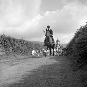 Devon and Somerset staghounds on a country lane