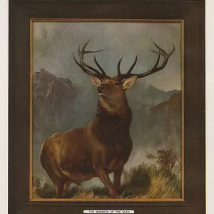 Dewars advert - The Monarch of the Glen