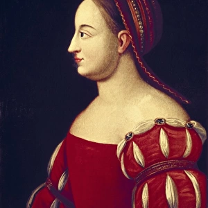 Diane de Poitiers, Duchesse de Valentinois (1499-1566)