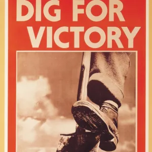 Dig For Victory