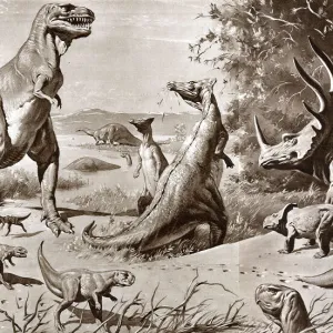 Dinosaurs of the Cretaceous Period - Gobi Desert