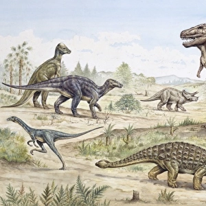 Dinosaurs discovered in western USA