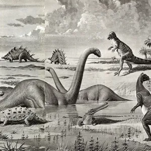 Dinosaurs of the Mesozoic Era - China