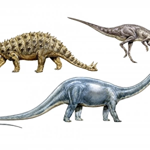 Diplodocus, Euoplocephalus & Hypsilophodon