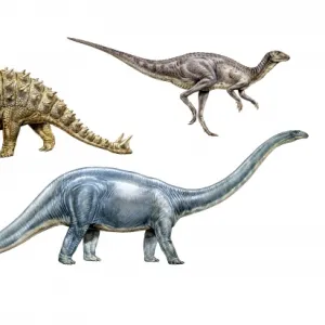 Diplodocus, Euoplocephalus & Hypsilophodon