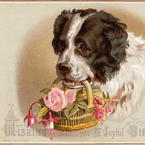 Dog carrying basket of flowers on a birthday card