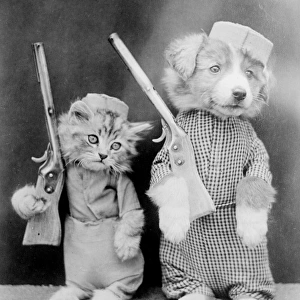 Dog and Cat Soldiers