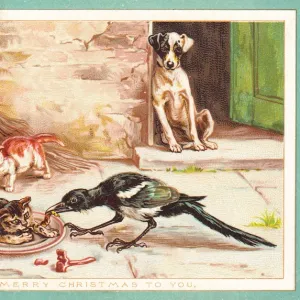 Dog, cats and bird on a Christmas card