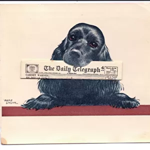 Dog with Daily Telegraph newspaper on a greetings card