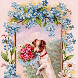 Dog with flowers on a greetings postcard