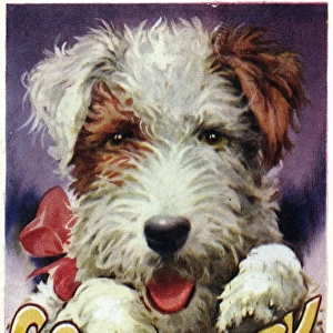 Dog Good Luck Card