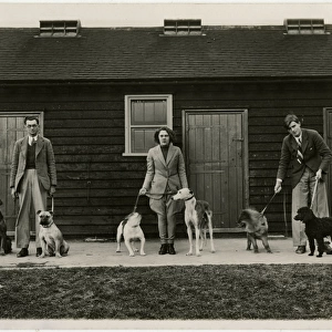 Three dog handlers with six dogs in front of stables