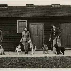 Three dog handlers with six dogs in front of stables