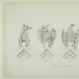 Dog, owl and eagle design