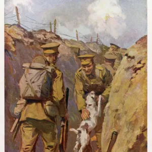 Dog and owner reunited in the trenches, France