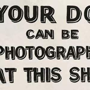 Your dog can be photographed sign