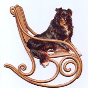 Dog on a rocking chair on a cutout greetings card