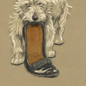 Dog with Slipper / Aldin