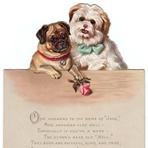 Two dogs, Jack and Nell, on a cutout Christmas card
