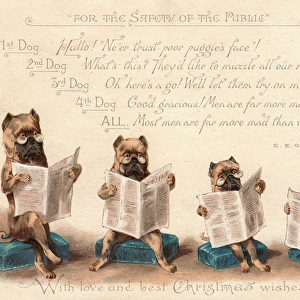 Four dogs reading newspapers on a Christmas card