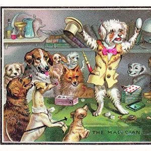 Dogs watching a dog magician on a Christmas card