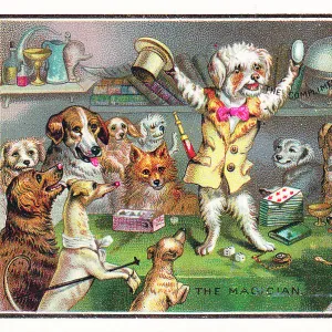 Dogs watching a dog magician on a Christmas card