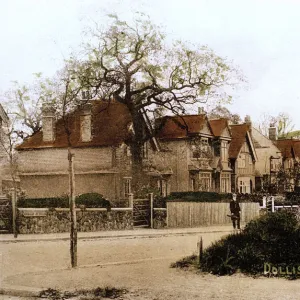 Dollis Avenue, Finchley, North London