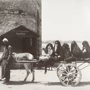 Donkey cart, passengers - Egyptian women, Egypt