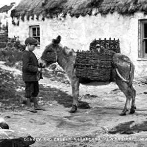 Donkey and Creels Rosapenna, NW Donegall