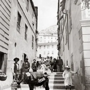 Donkey in Gibraltar street, c. 1890 s