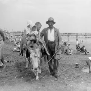 Donkeys at Blackpool