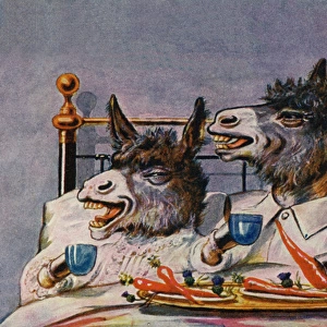 Donkeys breakfast in bed