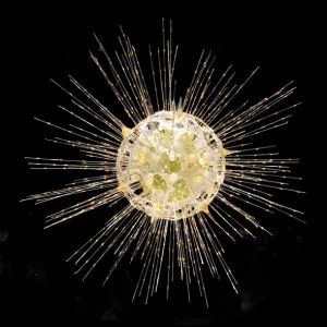 Dorataspis diodon, radiolarian