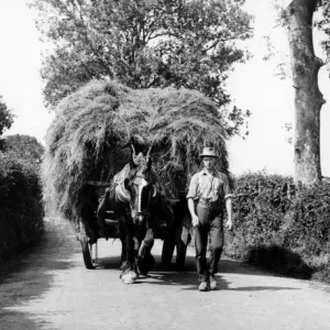 Dorset Hay Wain