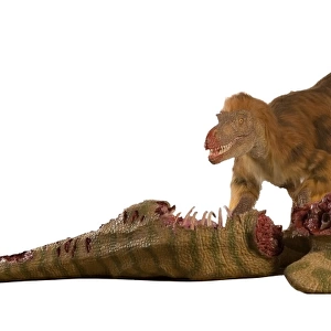 Dromaeosaurus, Fuzzy Raptor