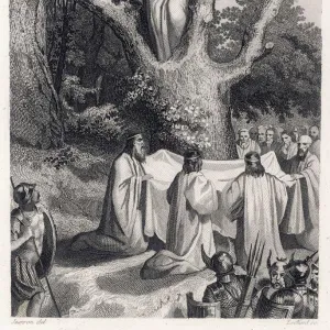 Druids Cut Mistletoe