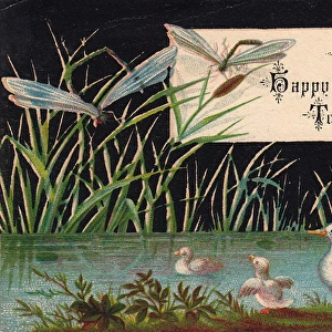 Duck and ducklings on a New Year card