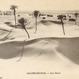 The dunes at Colomb-Bechar - Algeria