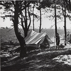Dutch boy scouts camping, Holland