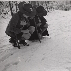 Dutch boy scouts tracking in snow, Holland