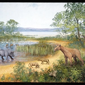 Early Miocene scene in Europe