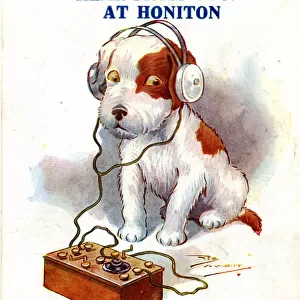Early radio crystal set, terrier puppy