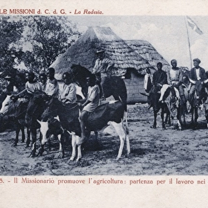 East Africa - Rhodesia - Riding to the field on cattle