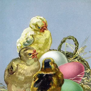 Easter Greetings - Yellow chicks and colourful eggs